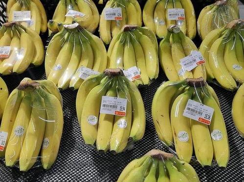 国产在线大香蕉,揭秘国内热门影视平台背后的故事